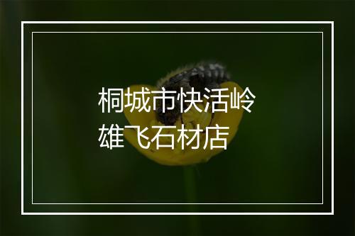 桐城市快活岭雄飞石材店