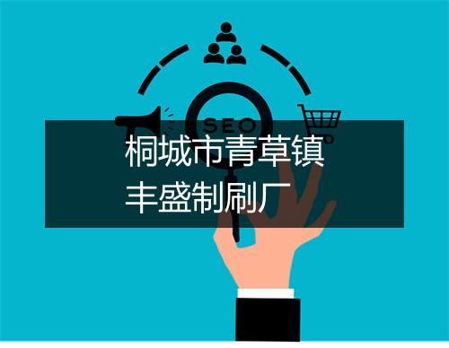 桐城市青草镇丰盛制刷厂
