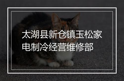 太湖县新仓镇玉松家电制冷经营维修部