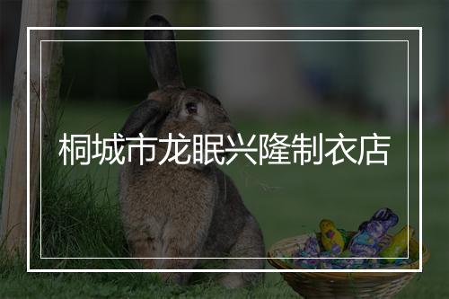 桐城市龙眠兴隆制衣店