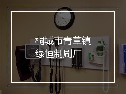 桐城市青草镇绿恒制刷厂