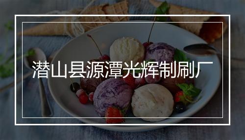 潜山县源潭光辉制刷厂