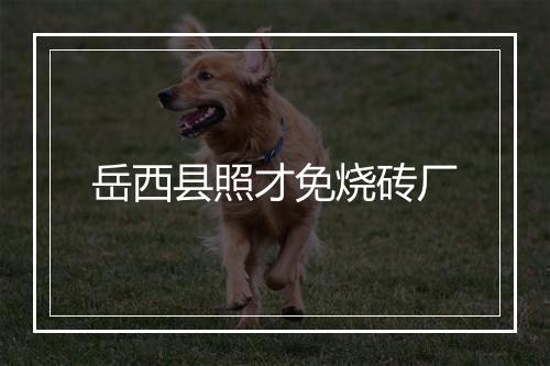 岳西县照才免烧砖厂