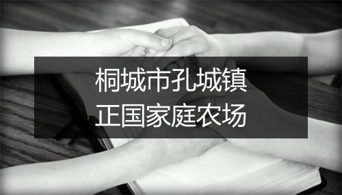 桐城市孔城镇正国家庭农场