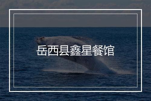 岳西县鑫星餐馆