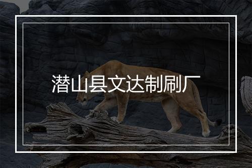 潜山县文达制刷厂