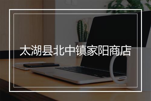 太湖县北中镇家阳商店