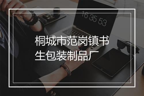 桐城市范岗镇书生包装制品厂