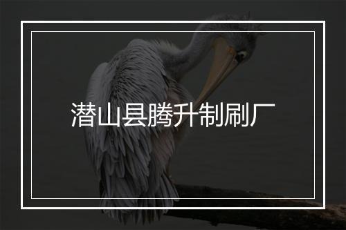 潜山县腾升制刷厂