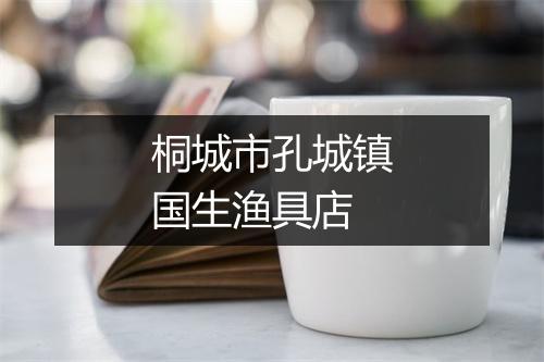 桐城市孔城镇国生渔具店