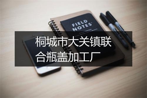 桐城市大关镇联合瓶盖加工厂