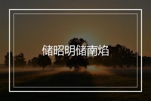储昭明储南焰