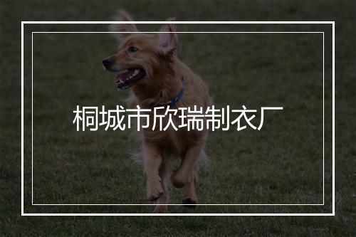 桐城市欣瑞制衣厂