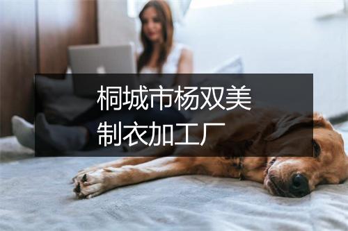 桐城市杨双美制衣加工厂