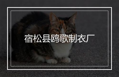宿松县鸥歌制衣厂