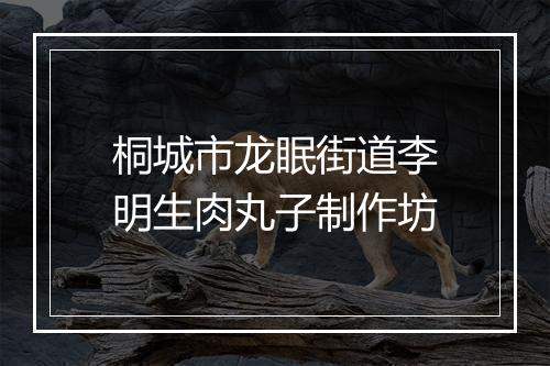 桐城市龙眠街道李明生肉丸子制作坊