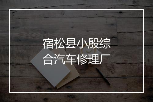 宿松县小殷综合汽车修理厂