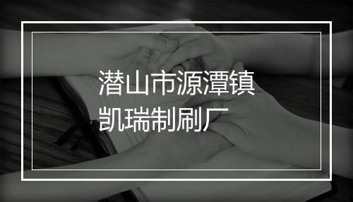 潜山市源潭镇凯瑞制刷厂