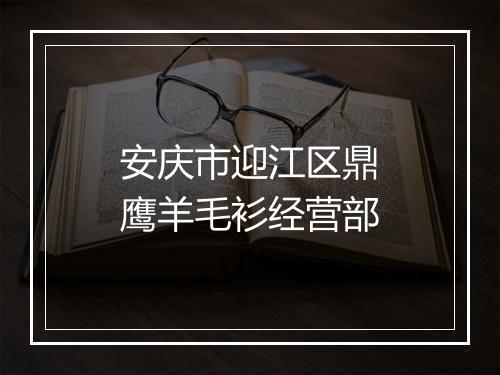 安庆市迎江区鼎鹰羊毛衫经营部
