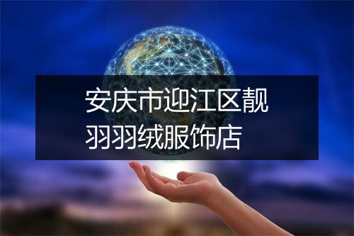 安庆市迎江区靓羽羽绒服饰店