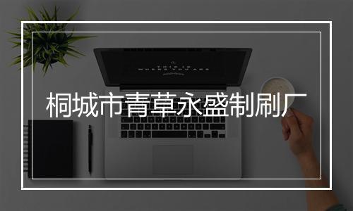 桐城市青草永盛制刷厂