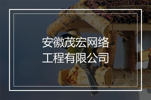 安徽茂宏网络工程有限公司