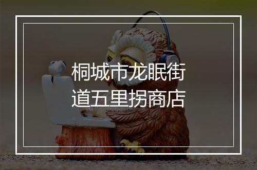 桐城市龙眠街道五里拐商店