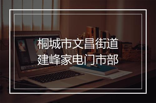 桐城市文昌街道建峰家电门市部