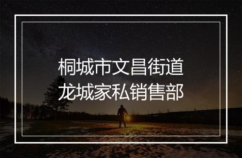 桐城市文昌街道龙城家私销售部