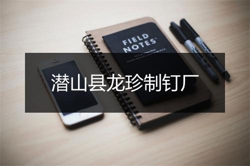 潜山县龙珍制钉厂