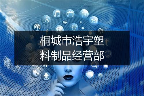 桐城市浩宇塑料制品经营部