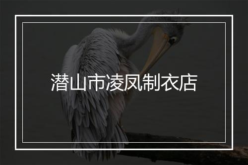 潜山市凌凤制衣店