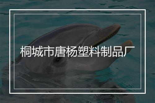 桐城市唐杨塑料制品厂