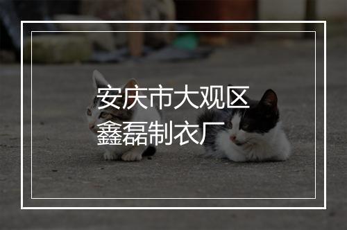 安庆市大观区鑫磊制衣厂