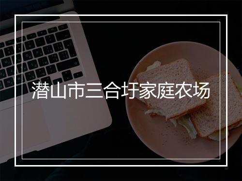 潜山市三合圩家庭农场
