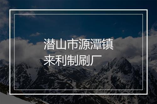 潜山市源潭镇来利制刷厂
