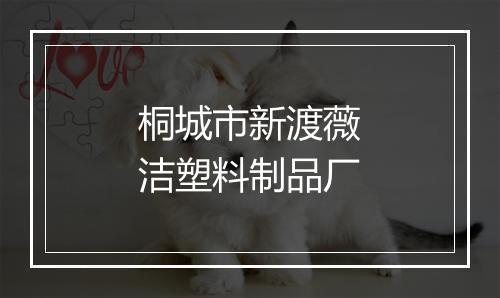 桐城市新渡薇洁塑料制品厂