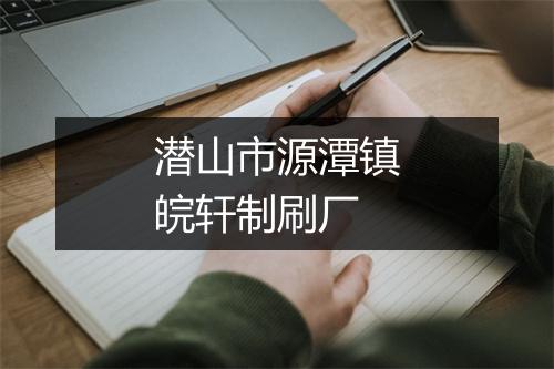 潜山市源潭镇皖轩制刷厂