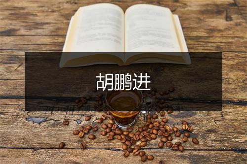 胡鹏进