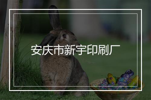 安庆市新宇印刷厂
