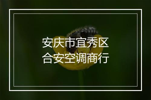 安庆市宜秀区合安空调商行