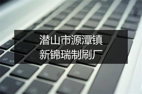潜山市源潭镇新锦瑞制刷厂