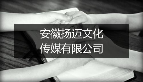 安徽扬迈文化传媒有限公司
