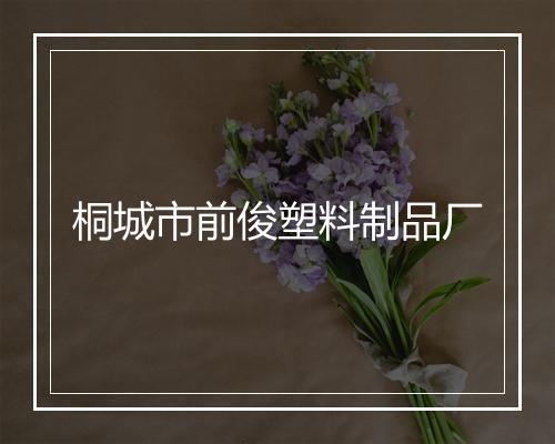 桐城市前俊塑料制品厂