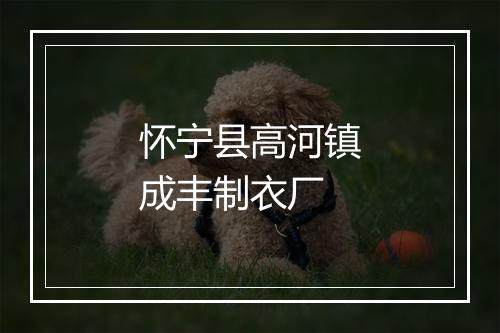 怀宁县高河镇成丰制衣厂