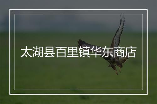 太湖县百里镇华东商店