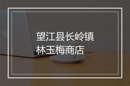 望江县长岭镇林玉梅商店