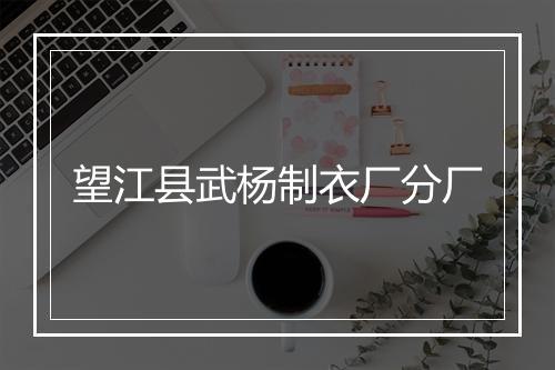 望江县武杨制衣厂分厂
