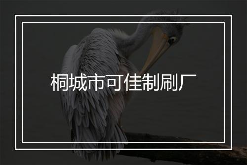 桐城市可佳制刷厂