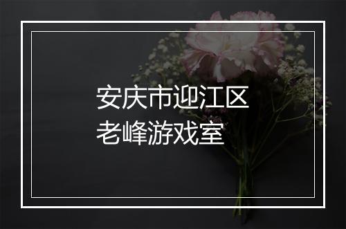 安庆市迎江区老峰游戏室